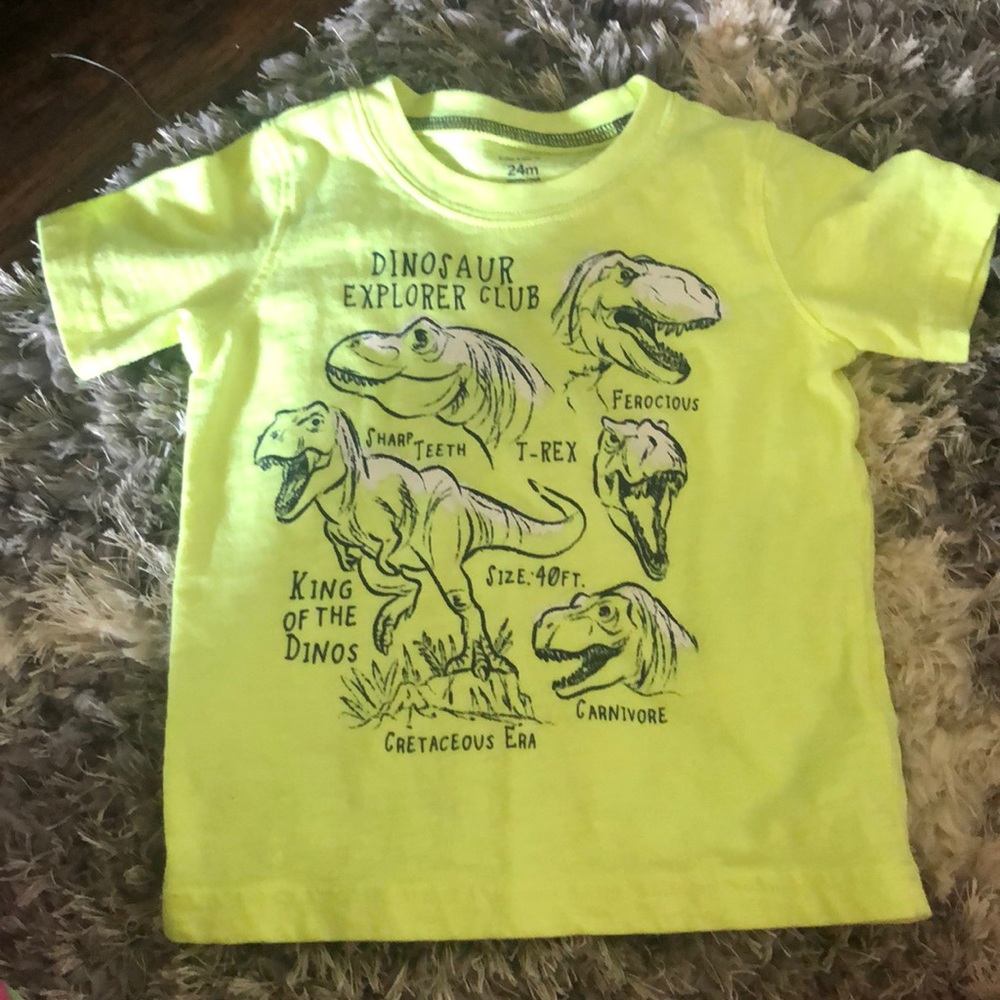 Dinosaur shirt
